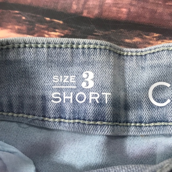 Frayed Floral Embroidery Mid Rise Denim Shorts - Picture 4 of 6